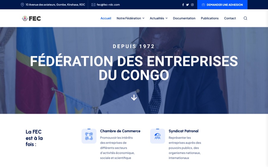 Aperçu — Fédération des Entreprises du Congo
